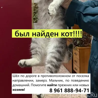 Друзья, 04.02 рядом с поселком...