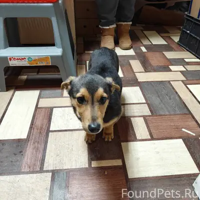 ВНИМАНИЕ ВСЕМ ПОСТАМ!! НАЙДЕН ...