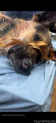 Щелковский р-н, МО Загорянская...