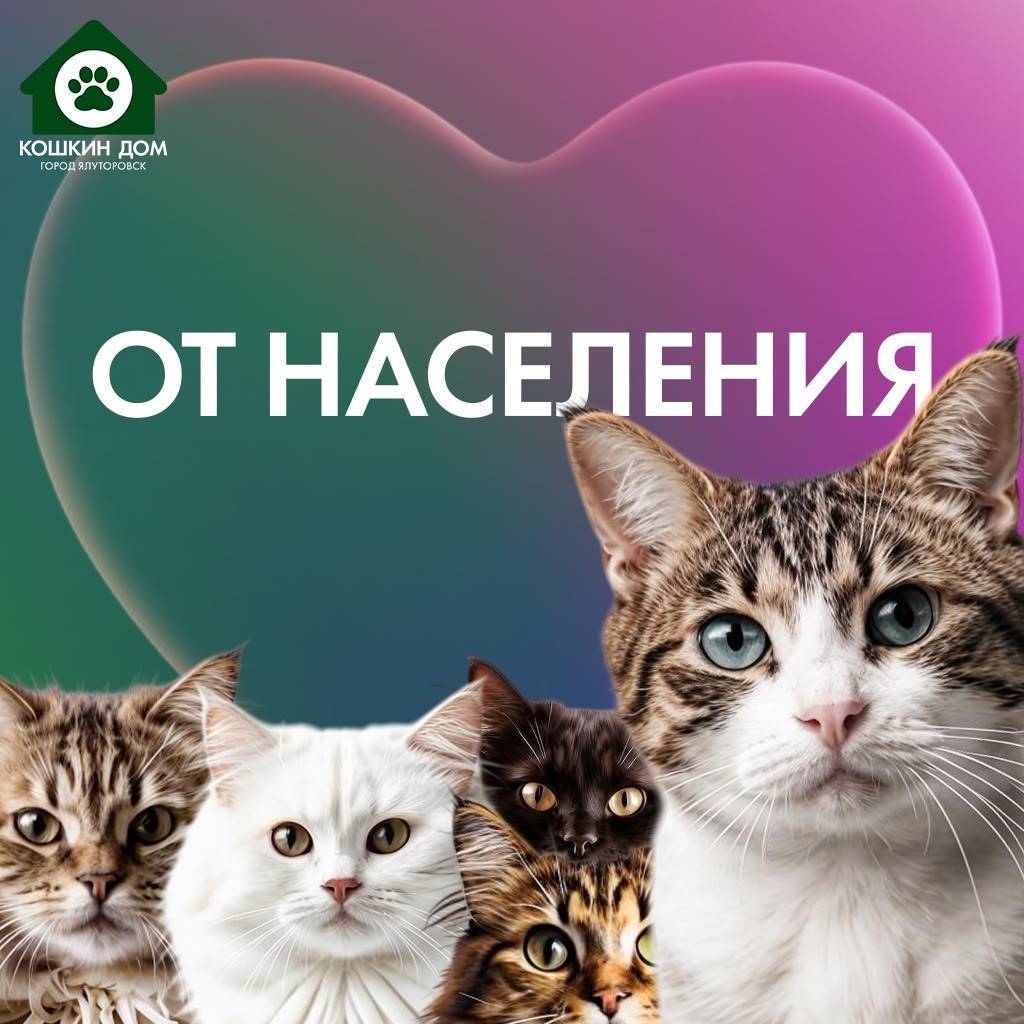 3 февраля (в 19:25) в...
