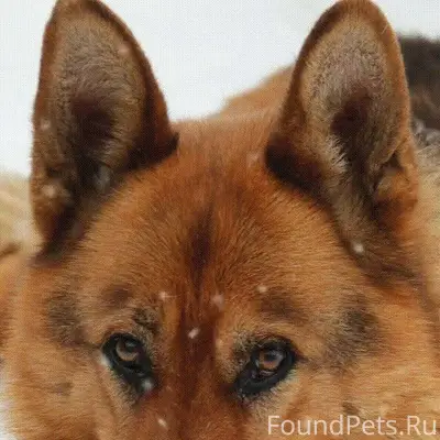 Кимры. В центре у памятника Ле...