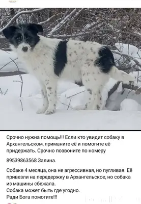 Пожалуйста, помогите найти 😭🙏 ...