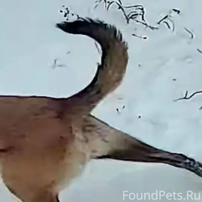 В п. Еленинка, Карталинского р...