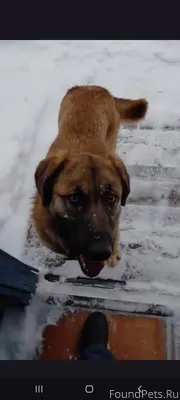 Пост помощи [id161268616|Валер...