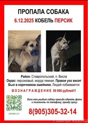 Репост ❗Тольятти❗ Помогите най...