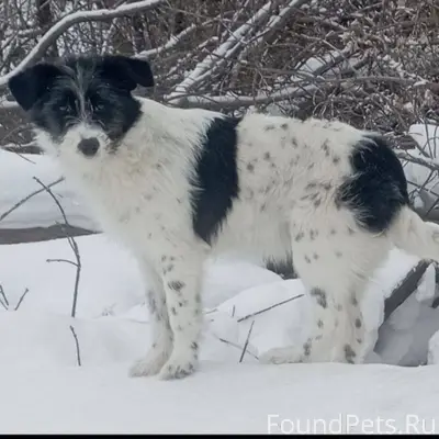Срочно нужна помощь!!! Если кт...