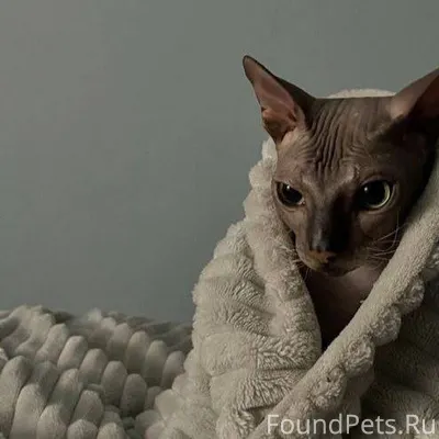 Вчера в моей жизни случилось с...