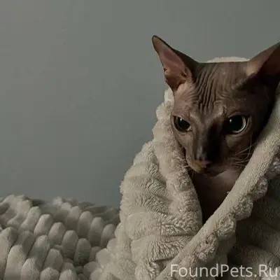 Вчера в моей жизни случилось с...