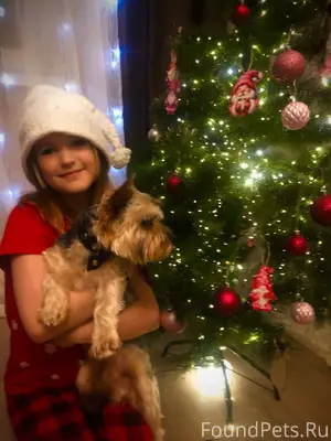 Сегодня вечером на улице в рай...