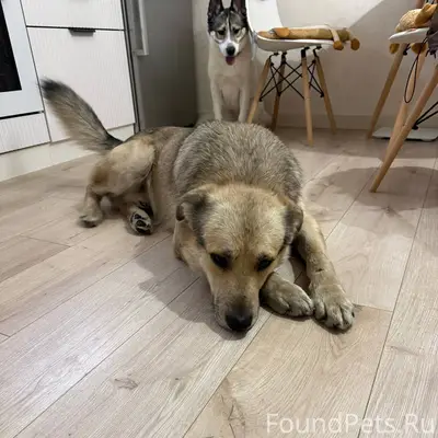 Кто потерял? https://vk.ru/vvv...