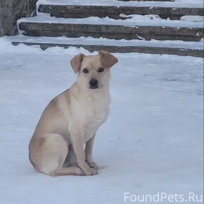 Помогаю информационно Малоярос...