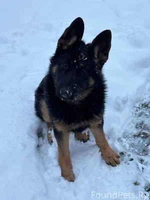 🚨🚨🚨🚨🚨🚨🚨🚨🚨🚨🚨🚨. 4.02 вечером, ор...