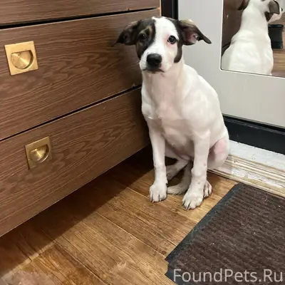 Иркутск.Остановка Энергетиков....