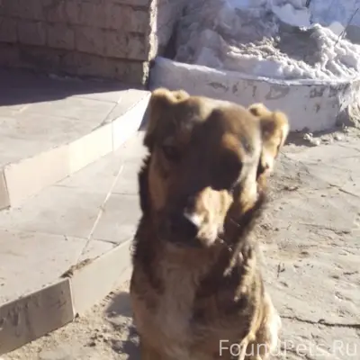 Волгоград.Краснооктябрьский ра...