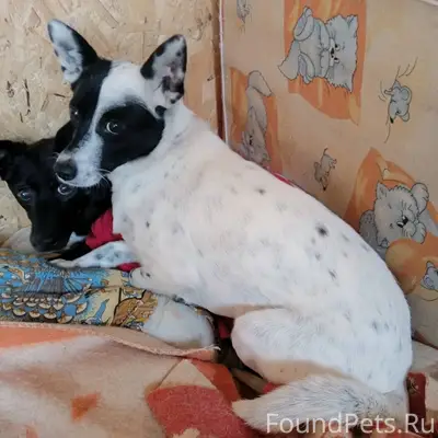 Уважаемые озерчане! Обратите в...