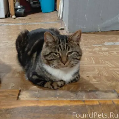 Здравствуйте дорогие друзья пр...