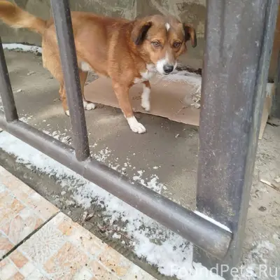 Краснодар ! Срочно! В районе Г...