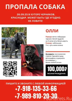 Мы верим в теорию 6 рукопожати...