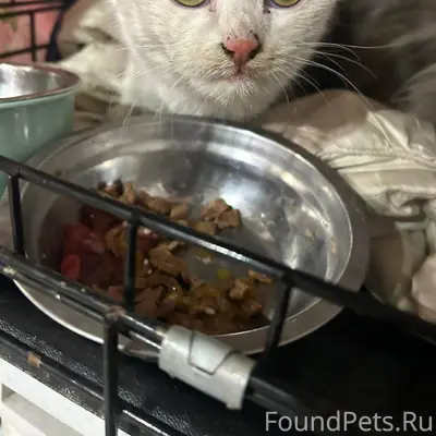 Помогите 🆘 оплатить визит в кл...