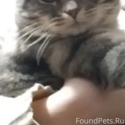 Мы всё ещё надеемся, что наш.....