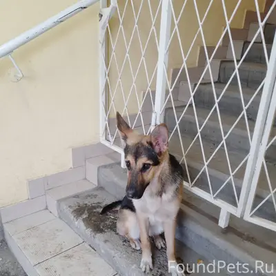 Помогаю информационно! Возле м...