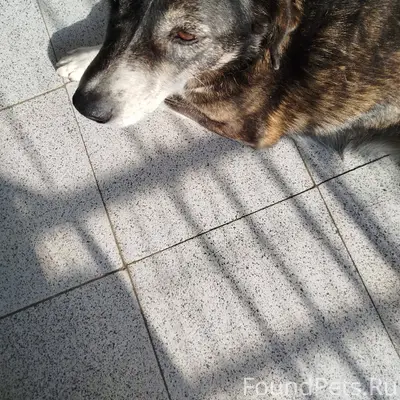 На Песковатских дачах ближе к ...