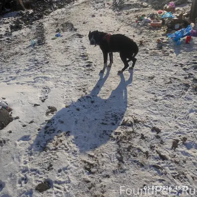 Добрый день, может кто то ищет...