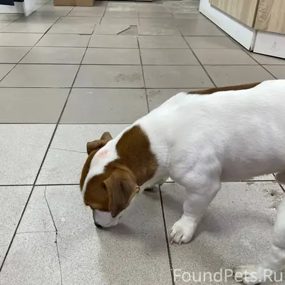 На садовой, возле Валентина Ст...