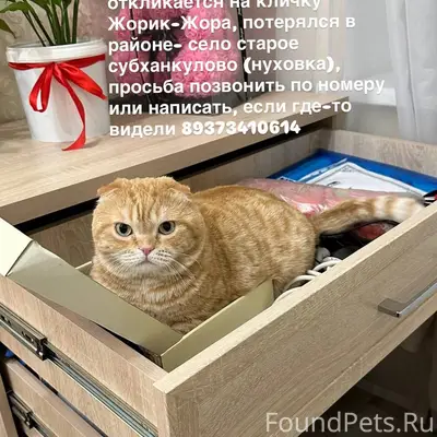 Село старое Субханкулово (нухо...