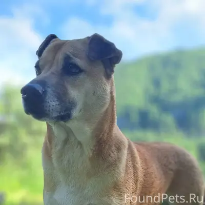 Друзья, крик о помощи! Потерял...