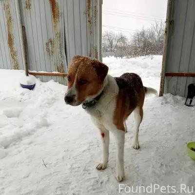 Рязань, Рязанская область. Ски...