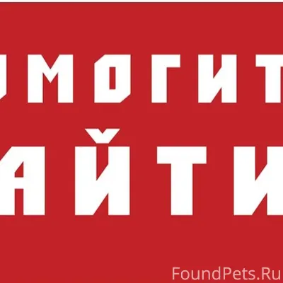 🆘🆘🆘СРОЧНО!!!! ПОСТ О ПОМОЩИ!!!...