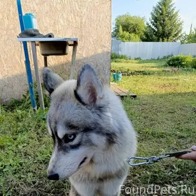 Доброго времени суток в понеде...