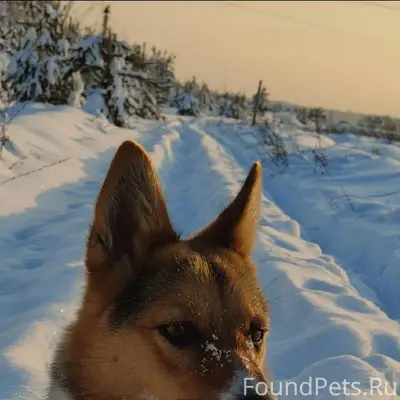 🆘🚨🚨🚨🆘 ‼️‼️‼️СРОЧНЫЙ РЕПОСТ‼️‼️...