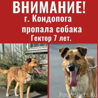 Пожалуйста, сделайте репост! ‼...