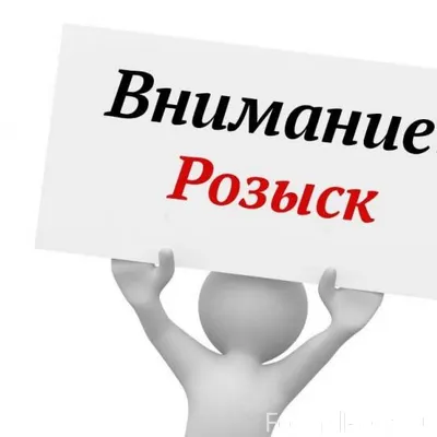 Внимание ⚠️ Пропала собака, ра...