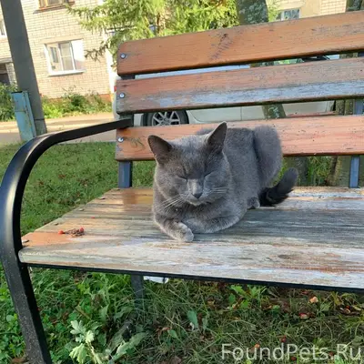 ❗️❗️❗️Помогаю информационно ❗️...