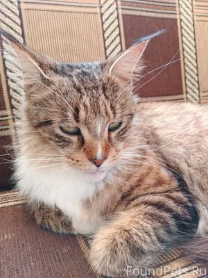 Доброго вечера всем. Сегодня д...