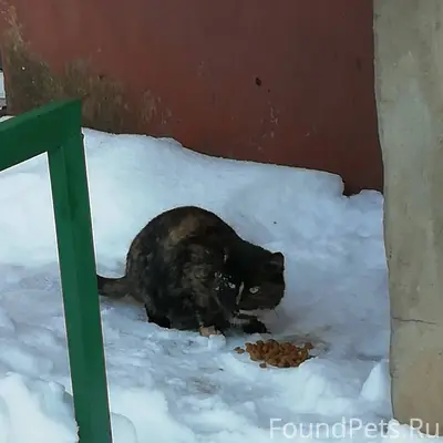 Иваново, гарнизон, п /о 14. Не...