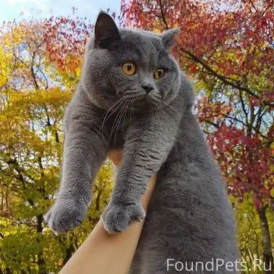 Д. Иванищево Соседи прошу посм...