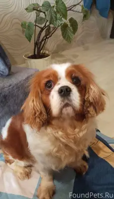 Воронеж Максимальный репост !!...