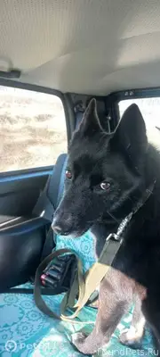 Помогаю информационно!!!! До с...