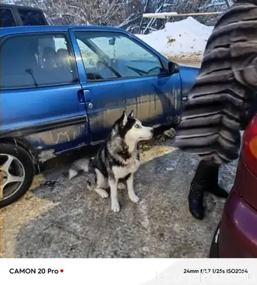 Город Щёкино Тульская область ...