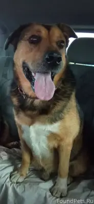 ‼️В Районе поселка Зуя, Белого...