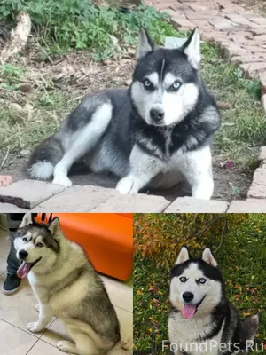 Повтор МОГУТ БЫТЬ ГДЕ УГОДНО! ...