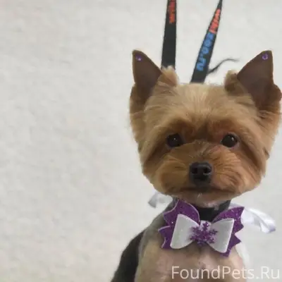 Здравствуйте сегодня в сельхоз...