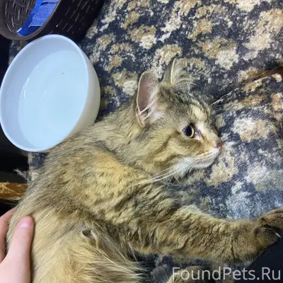 В подвале дома 47 по улице...