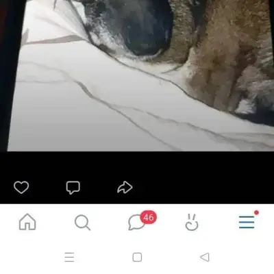 🆘🆘🆘Пропала собака в районе Сев...