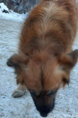 В мкр. Береговой примерно с 28...