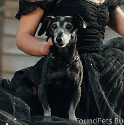 📍мкрн Дивногорский, Ленинский ...